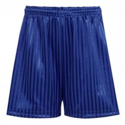 Shadow Stripe Shorts - Royal Blue