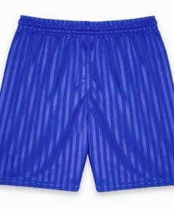 Shadow Stripe Shorts - Royal Blue