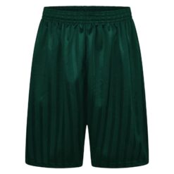 Shadow Stripe Shorts - Bottle Green