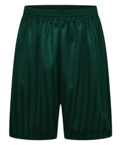 Shadow Stripe Shorts - Bottle Green