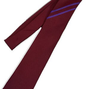Woodhey 2024 Year 7 Tie