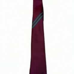 Woodhey 2025 Year 7 Tie