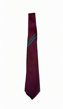 Woodhey 2025 Year 7 Tie