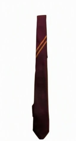 Woodhey 2026 Year 7 Tie