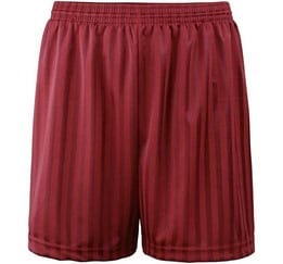Shadow Stripe Shorts - Maroon