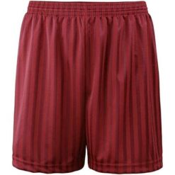Shadow Stripe Shorts - Maroon