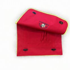 Alternative view of Our Lady primary document case